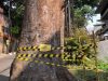 Dinilai Halangi Akses Masuk, Pohon di Lemahneundeut Dirusak, Diduga Libatkan Oknum DPKP3