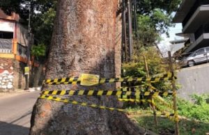 Dinilai Halangi Akses Masuk, Pohon di Lemahneundeut Dirusak, Diduga Libatkan Oknum DPKP3