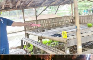 Polisi Tangkap Pelaku Pencabulan dan Persetubuhan Terhadap Anak