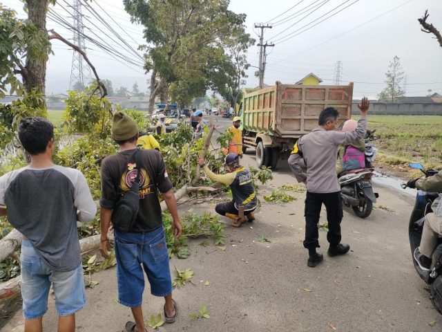 Polisi, Petugas PU dan Warga Masyarakat Evakuasi Pohon Tumbang