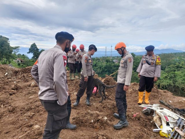 Polri Terjunkan K9 Guna Permudah Pencairan Korban Longsor Gempa Bumi di Cianjur