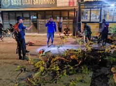 Respon Cepat Polisi Bantu Evakuasi Pohon Tumbang