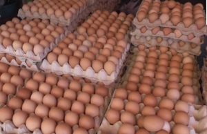 Sempat Alami Lonjakan, Harga Telur di Kota Bandung Mulai Normal Kembali