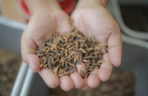 Atasi Sampah, Warga RW 02 Sukamiskin Laksanakan Gerakan Kang Pisman di Wilayahnya