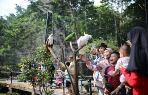 Amakan Aset Lahan, Pemkot Bandung Gandeng PKBI Kelola Kebun Binatang