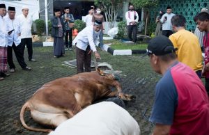 Beda Waktu Salat Iduladha, Kota Bandung Tetap Laksanakan Penyembelihan Serentak