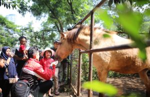 Terkait Pemeliharaan Satwa Kebun Binatang, Pemkot Bandung akan Bekerja Sama dengan PKBSI