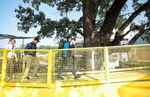 Plh Wali Kota Bandung Apresiasi PKL Soal Penataan Gelap Nyawang