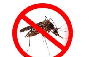 Tekan DBD, Kota Bandung Terapkan Inovasi Wolbachia