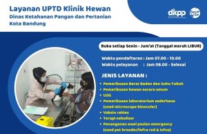 Hari Rabies Sedunia: Pemkot Bandung Gelar Vaksinasi Rabies Gratis