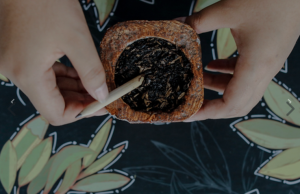 Berkat Inovasi Patlot, Siswa SMAN 1 Cisarua Raih Medali Emas FIKSI 2023