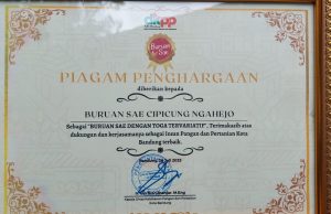 Buruan Sae RW 01 Kelurahan Kebongedang Punya 110 Jenis Toga