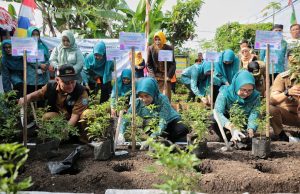 Pangan Kuat Inflasi Terkendali, Pemkot Bandung dan TP PKK Tanam 15.000 Bibit Cabai Pangan Kuat Inflasi Terkendali, Pemkot Bandung dan TP PKK Tanam 15.000 Bibit Cabai