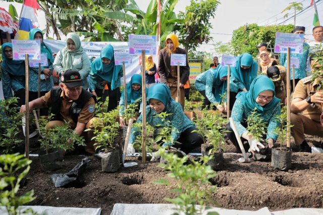 Pangan Kuat Inflasi Terkendali, Pemkot Bandung dan TP PKK Tanam 15.000 Bibit Cabai