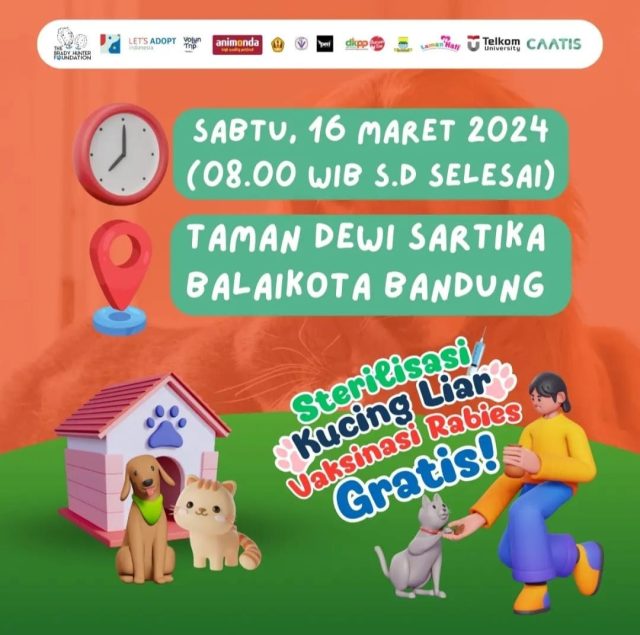 Ayo Ikut Vaksin Rabies dan Sterilisasi Kucing Liar, Gratis Loh!
