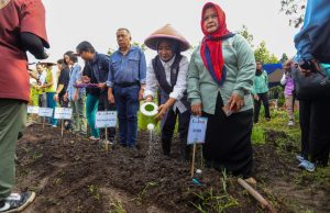 Kendalikan Inflasi, Kota Bandung Tanam Cabai dan Bawang Serentak di Seluruh Kecamatan