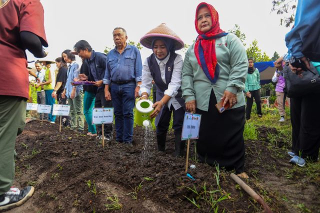 Kendalikan Inflasi, Kota Bandung Tanam Cabai dan Bawang Serentak di Seluruh Kecamatan