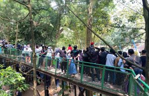 Wisatasan Penuhi Babakan Siliwangi, Oase Hijau di Tengah Kota Bandung Semakin Populer