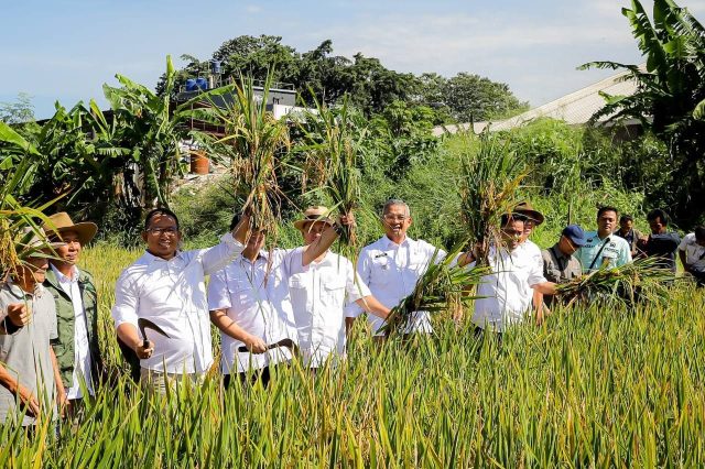 Wujudkan Ketahanan Pangan, Toni Wijaya Dukung Wilayah Gedebage Jadi Pusat Pertanian Produktif
