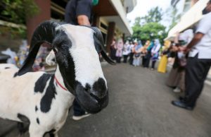 DKPP Komitmen Pastikan Keamanan Hewan Kurban di Kota Bandung
