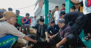 Pemkot Bandung akan Terus Pantau Penyembelihan Hewan Kurban Selama Hari Tasrik