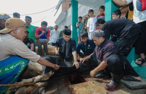 Pemkot Bandung akan Terus Pantau Penyembelihan Hewan Kurban Selama Hari Tasrik