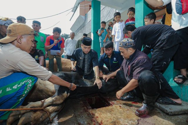 Pemkot Bandung akan Terus Pantau Penyembelihan Hewan Kurban Selama Hari Tasrik