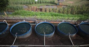 Pemkot Bandung Salurkan Traktor dan Benih untuk Petani