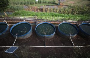 Pemkot Bandung Salurkan Traktor dan Benih untuk Petani