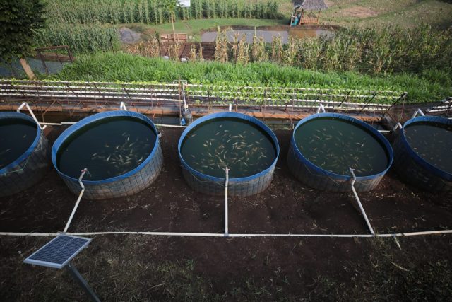 Pemkot Bandung Salurkan Traktor dan Benih untuk Petani