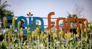 Kota Bandung Jadi Pusat Pengembangan Sorgum Nasional