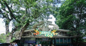 Bandung Zoo Ditutup Sementara, Pemkot Dorong Penyelesaian Damai Dua Pihak Yayasan