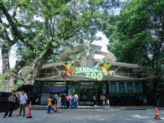 Farhan: Kami Komitmen Menjaga Kawasan Kebun Binatang Bandung sebagai RTH