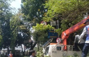 PJU Tertutup Pohon, Dishub Kota Bandung Gerak Cepat Pangkas dan Terangi Jalan