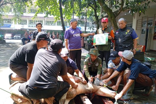 Baznas Jabar Salurkan 38 Hewan Kurban ke Berbagai Wilayah